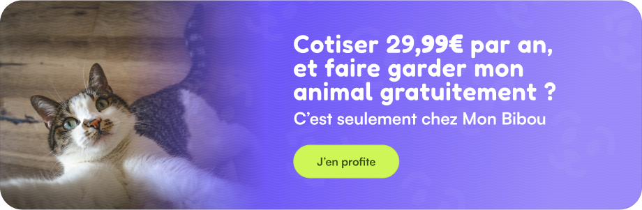 cotiser 29,99€ par an pour faire garder son chat, c'est sur mon-bibou.fr