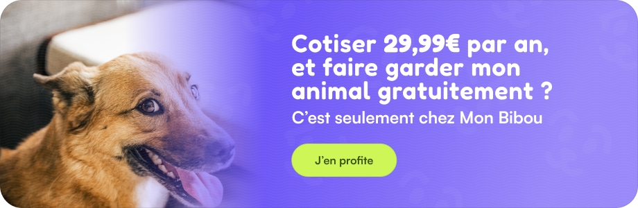 faire garder son animal gratuitement toute l'année contre une cotisation de 20,99€, c'est avec mon-bibou.fr