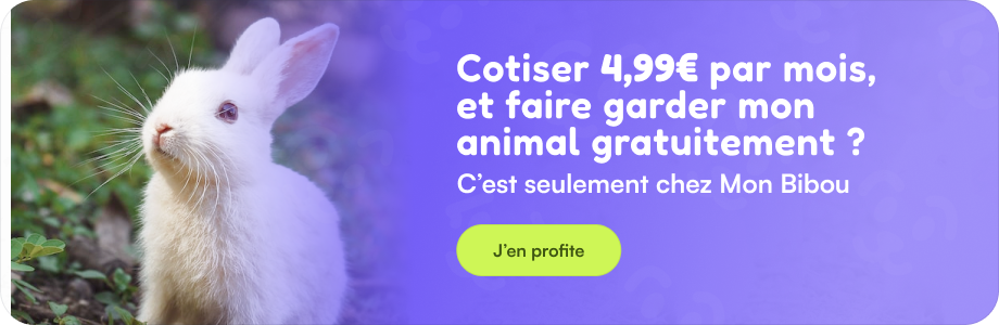 cotiser 4,99€ par mois pour faire garder son lapin, c'est sur mon-bibou.fr